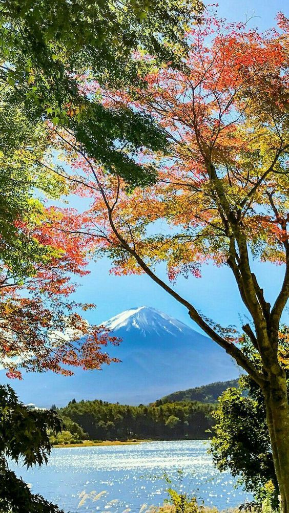 Beauty of nature.😍
#nature #NaturePhotography