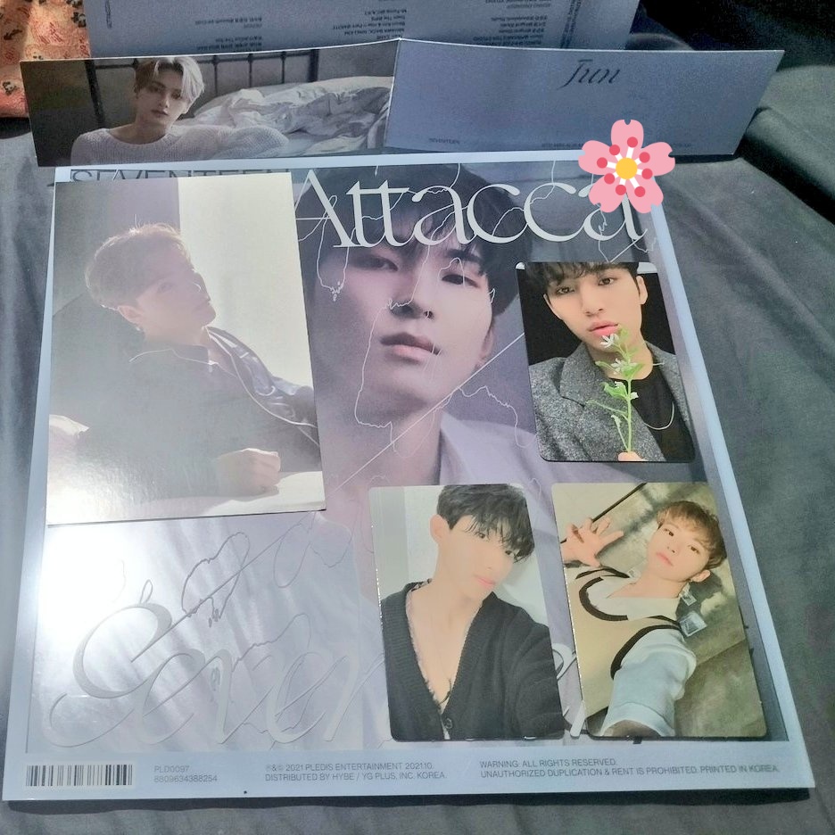 3kimscart_'s tweet photo. — eu budol mails (◍•ᴗ•◍)✧*。

{ #seyafeedbacks }

Thank you @3127cart sa pagpapauwi ng musicplant pob ni gyugyu 😭🥺🥰 also haohao for my friend huhu albums arrived safe and secured 💗 

#euumails https://t.co/PjjeILQnzt