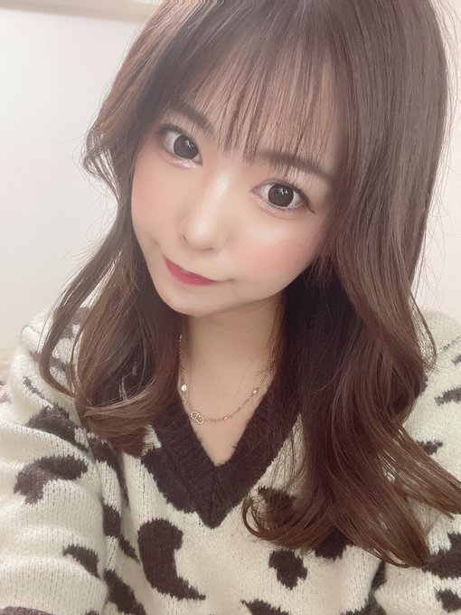 たぬき顔のtwitterイラスト検索結果