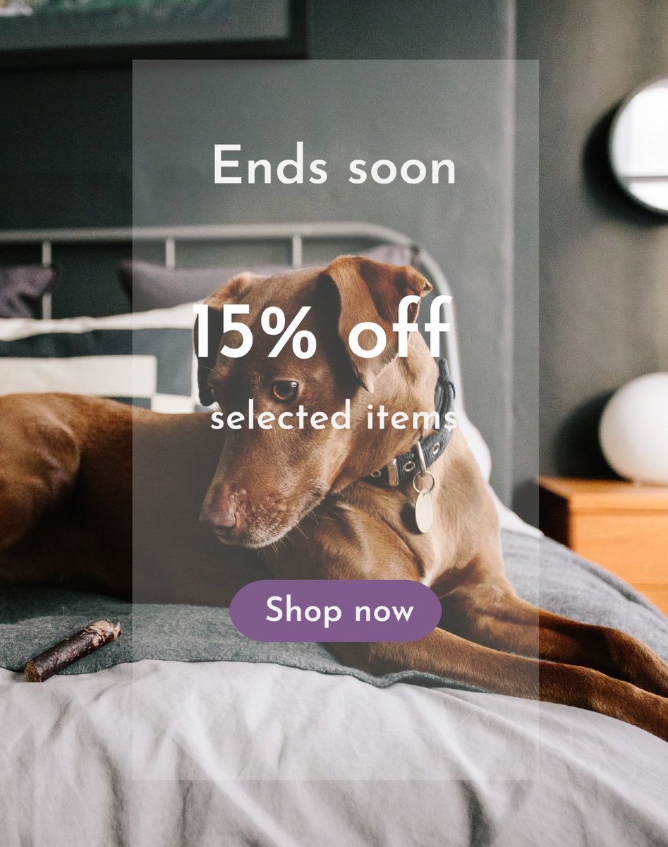 LovePurpleBone's tweet photo. Don’t miss out: 15% off continues - https://t.co/b0mFRdgzw7 https://t.co/p9FKpv9bUz