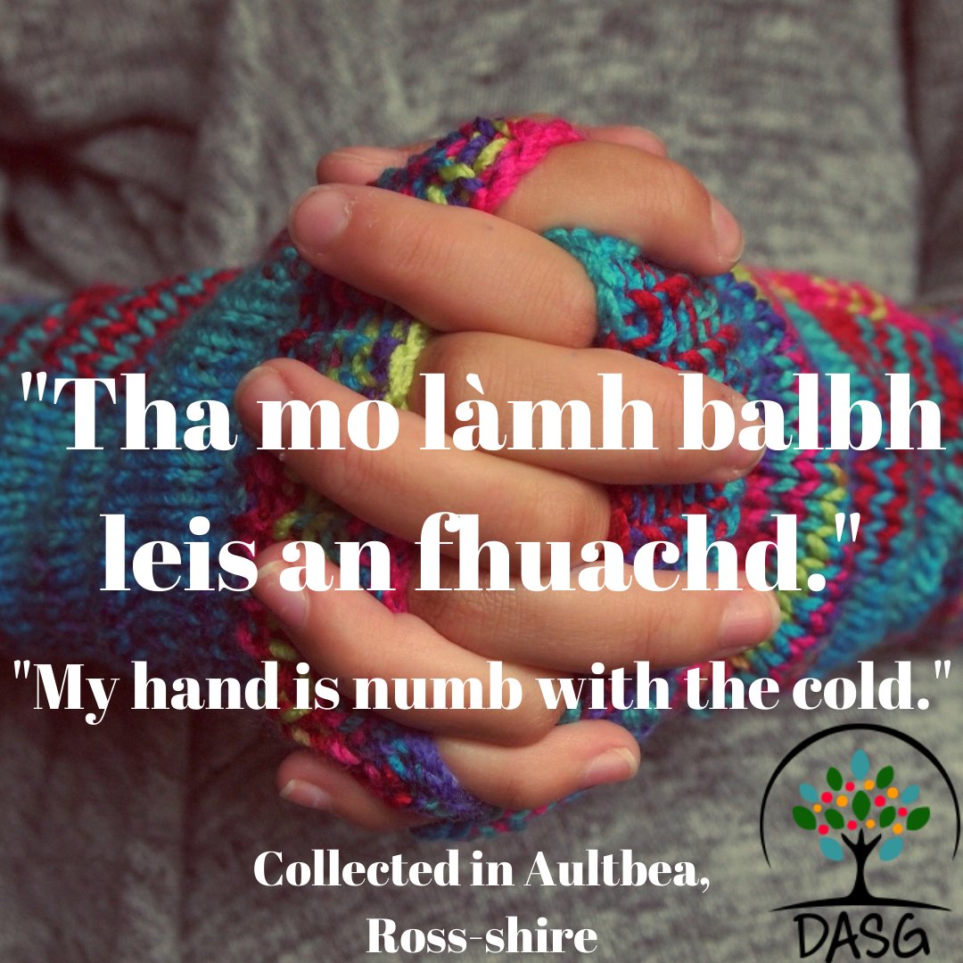 DASG_Glaschu's tweet photo. https://t.co/5f5jPi37rw
😰
"THA MO LÀMH BALBH LEIS AN FHUACHD"
-
"MY HAND IS NUMB WITH THE COLD"
🖐️
#balbh #numb #fuar #reòite #fuachd #cold #frozen #coldness
❄️
#AntAlltBeithe #Aultbea #RosanIar #WesterRoss #SiorrachdRois
#Gàidhlig #Gaelic
#DigitalArchiveofScottishGaelic #DASG https://t.co/PMPIsBmkXH