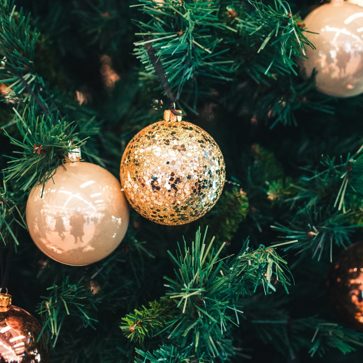 Our Christmas 🎄 is decorated, how about yours?

We have a few manufacturing slots left, to get your unglazed doors before Christmas. Give us a call on 0161 823 7569 or email hello@23doors.co.uk

#MerryChristmas #HappyHolidays #xmas #festiveseason #bifolddoors #entrancedoors