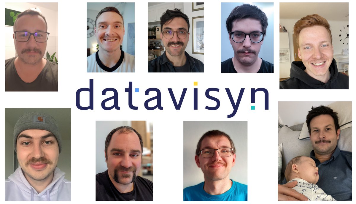 datavisyn's tweet photo. We had fun participating in #movember and supporting men’s health @MovemberAT. Impressive results by the team 🧔! https://t.co/ttcLXUTRTs https://t.co/OE0GT270ut