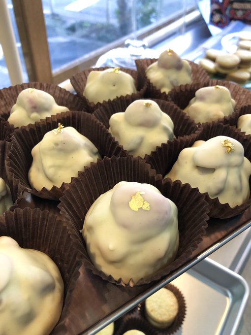 アルファホールのtwitterイラスト検索結果