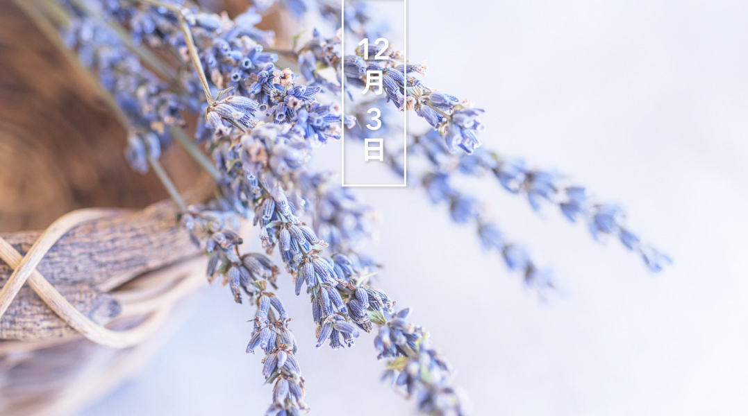 暦生活 こよみせいかつ ラベンダー ドライ 花の日めくり 花言葉 ずっと待っていました 古代から芳香性ハーブとして好まれました 花期は5 7月で 基本色は青紫です 乾燥させた花を ポプリやサシェにして楽しみます 暦生活webサイト