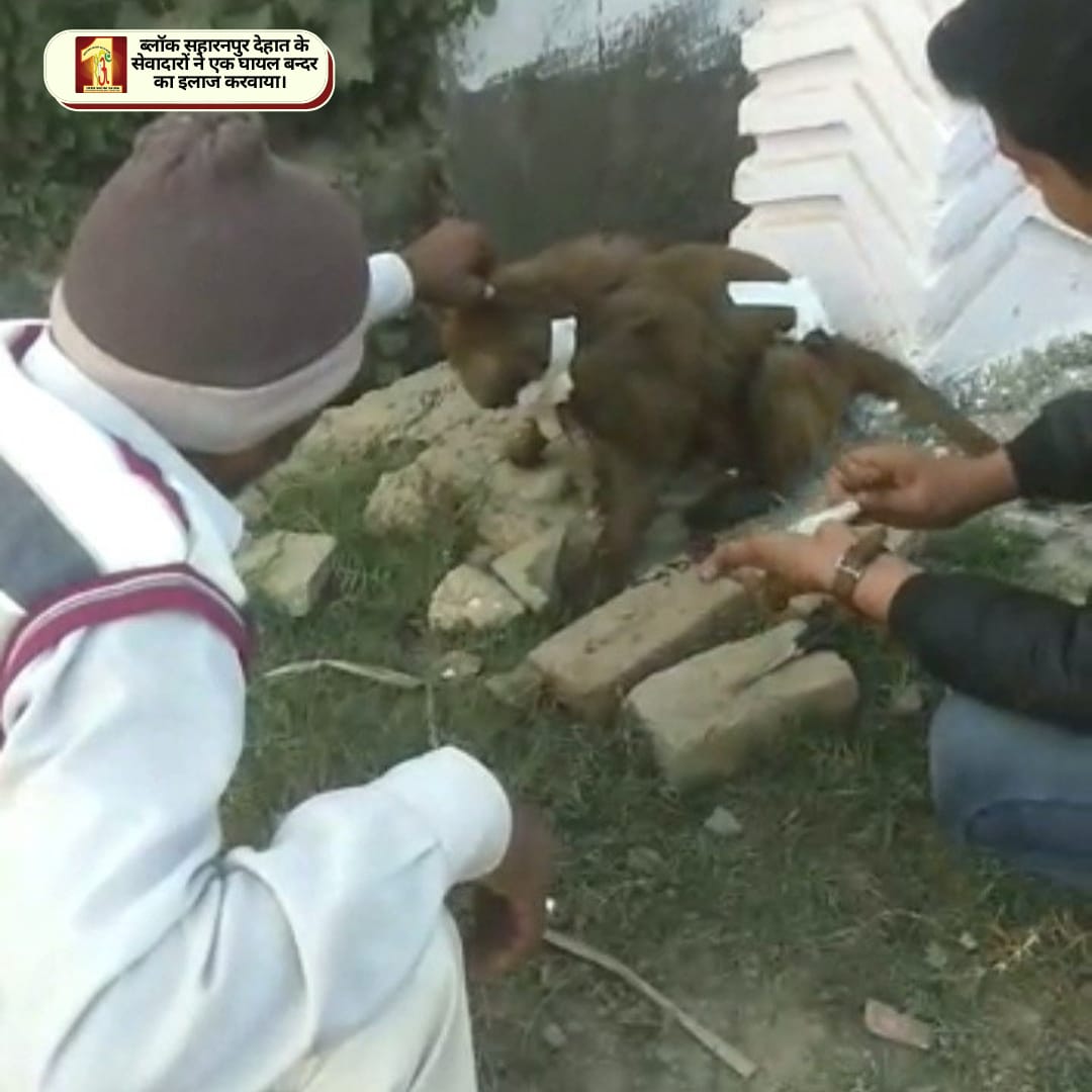 DSSNewsUpdates's tweet photo. DSS volunteers are contributing their part to d greater good by saving the animals. Their every action gives a new message of hope and compassion. We r thankful to St. Dr. @GurmeetRamRahim Singh Ji Insan for encouraging the masses to rescue every creature!
#Humanity #HelpingHand https://t.co/983QPbBX1l