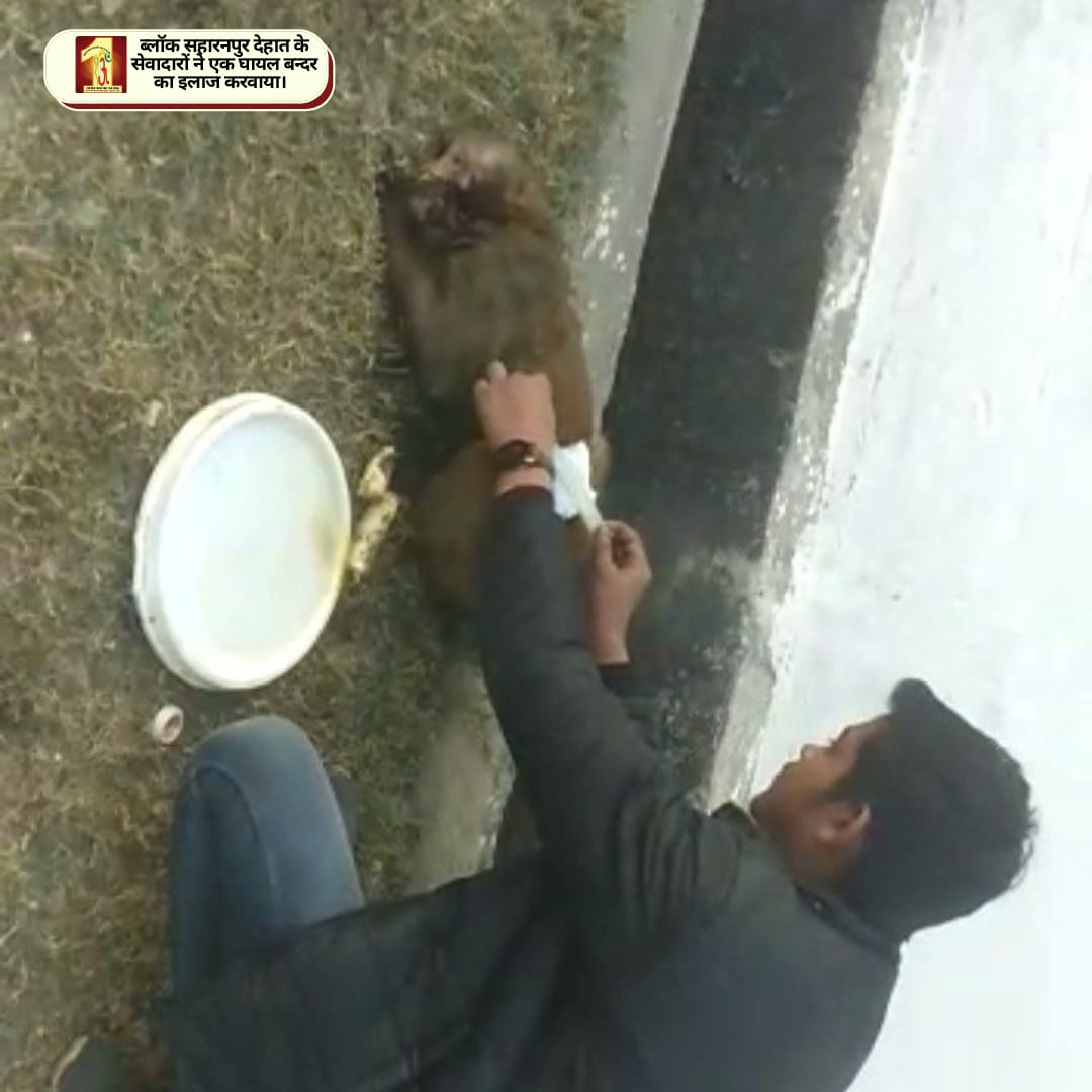 DSSNewsUpdates's tweet photo. DSS volunteers are contributing their part to d greater good by saving the animals. Their every action gives a new message of hope and compassion. We r thankful to St. Dr. @GurmeetRamRahim Singh Ji Insan for encouraging the masses to rescue every creature!
#Humanity #HelpingHand https://t.co/983QPbBX1l