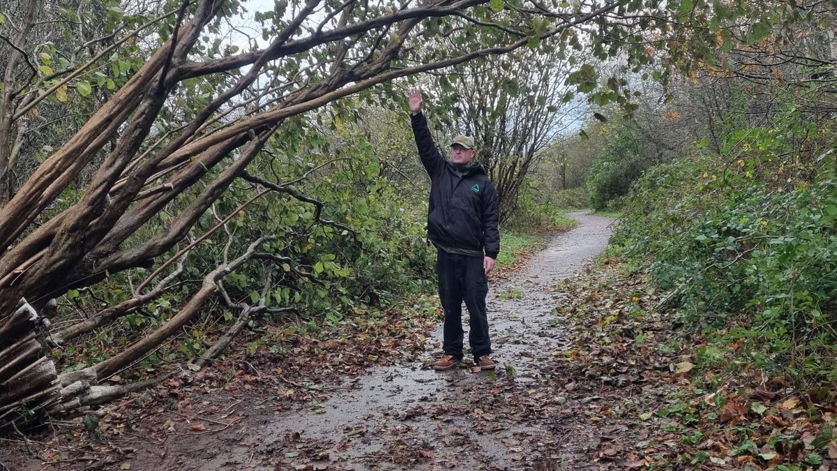 PedalPowerWxm's tweet photo. Thanks to the Groundwork North Wales Green Skills Team the cycle path at Pedal Power is now clear from the fallen tree. Pedal Power will be open tomorrow, Friday 3rd December.  #treeclearing #cyclepath https://t.co/E7ctds2Pp2
