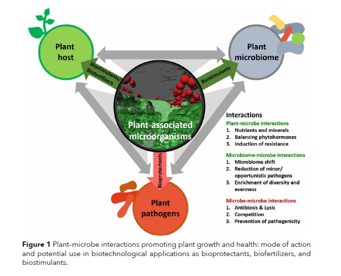 Advances in understanding modes of action of microbial bioprotectants
New: #microbiome-microbe interactions are important!
shop.bdspublishing.com/store/bds/deta…