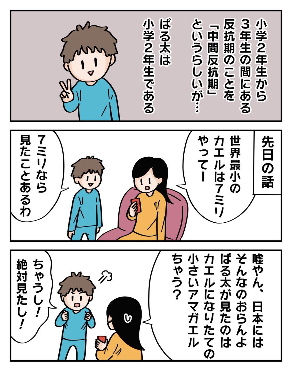 ぱるこ絵日記【47日目】

小学2年生の中間反抗期ってこんな感じなの?
物差しは全国共通なんやで…

#漫画が読めるハッシュタグ #絵描きさんと繋がりたい #コミックエッセイ #エッセイ漫画 #絵日記 