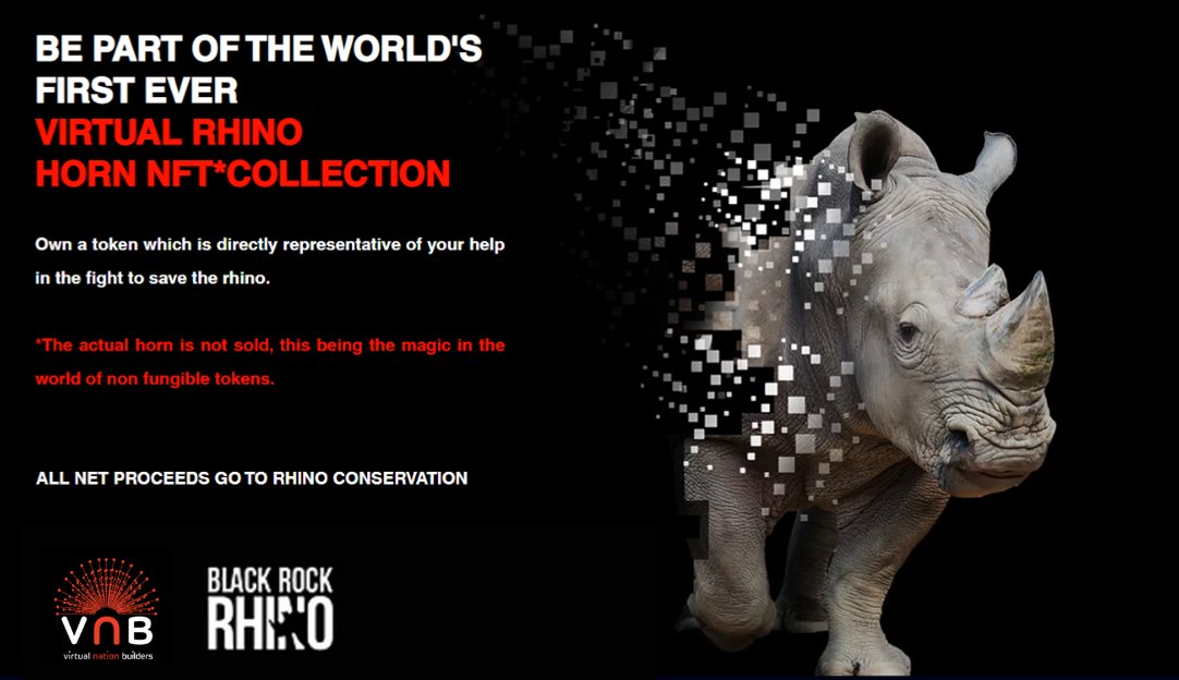 VNB_Meta2021's tweet photo. [1/6] 🦏#VirtualNationBuilders is opening the opportunity to even more rhino horn #NFT investors and conservation collectors when it auctions 30 rhino horn NFTs of the new and unique #LonghornRhino Horn NFT on global #NFTauction platforms. 

[THREAD] 

https://t.co/UB5SlJgOFE https://t.co/SqWMP8fA0c