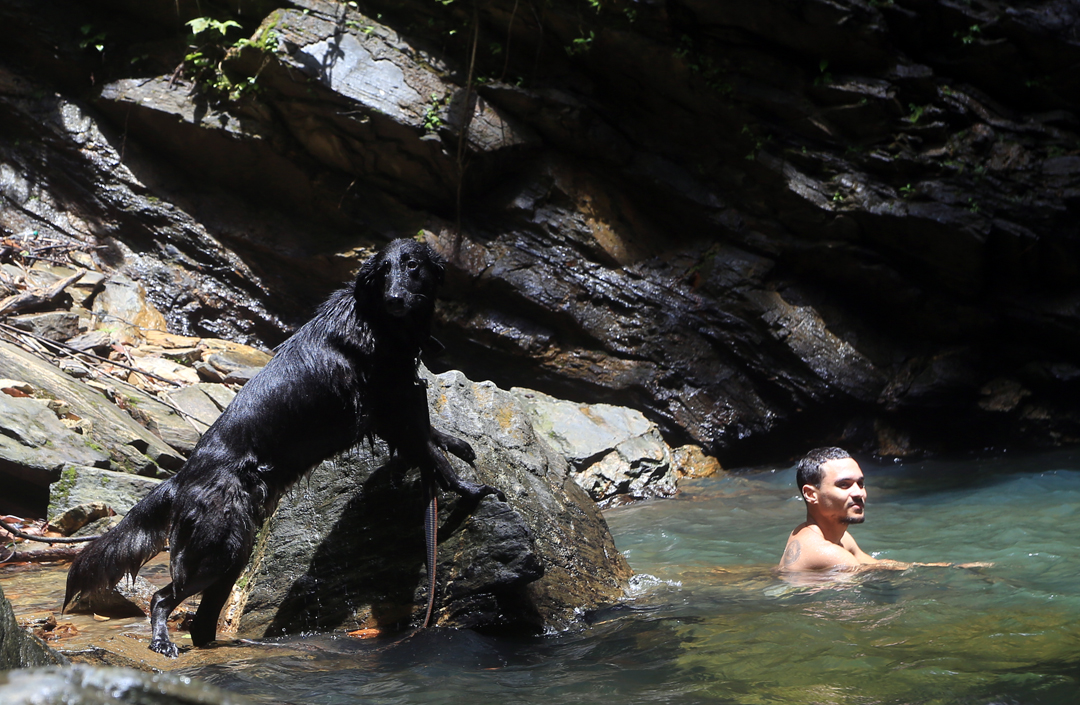 TourismTriniLtd's tweet photo. Rappelling off Avocat Waterfall …not for the faint hearted
#ThrowbackThursday #adrenalinrush #chasingwaterfalls #rappeling #adventuretravel #wanderlust #travelphotography #sweetsweettrinidad https://t.co/rpb21rFdsR