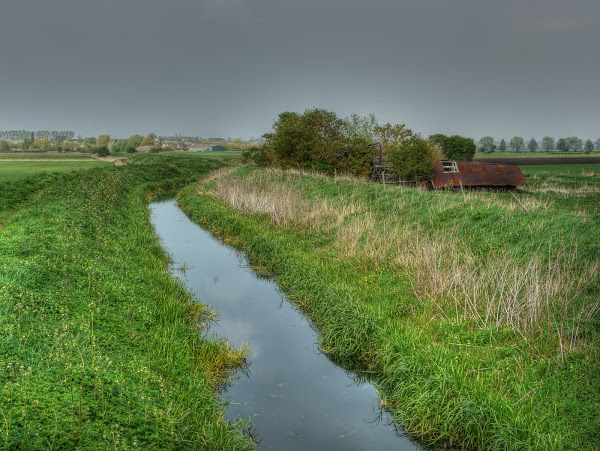 We are primed for George Eustice's announcement later today on the changes to farm payments and how this will impact farmers. Many farmers will have questions on the new schemes and how to plan for the future. 
Get in touch at mouleandco.co.uk