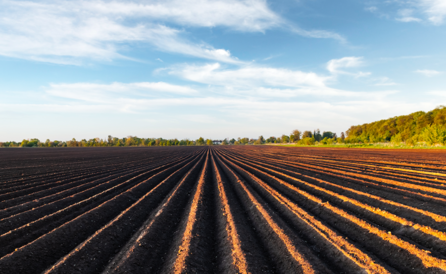 EcomnewsAfrique's tweet photo. #Bénin : L’#agriculture fournit 30 % du PIB et emploie plus de deux tiers de la population active https://t.co/rtXya94GFW https://t.co/yCfM095Jf3