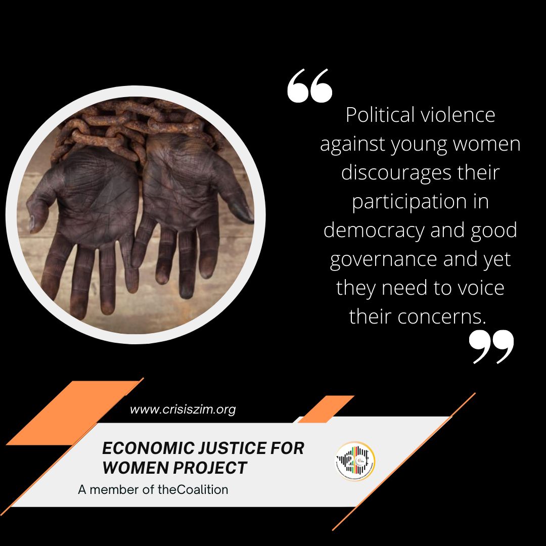 Zimbabwe Constitutional Movement (ZICOMO) tweet media