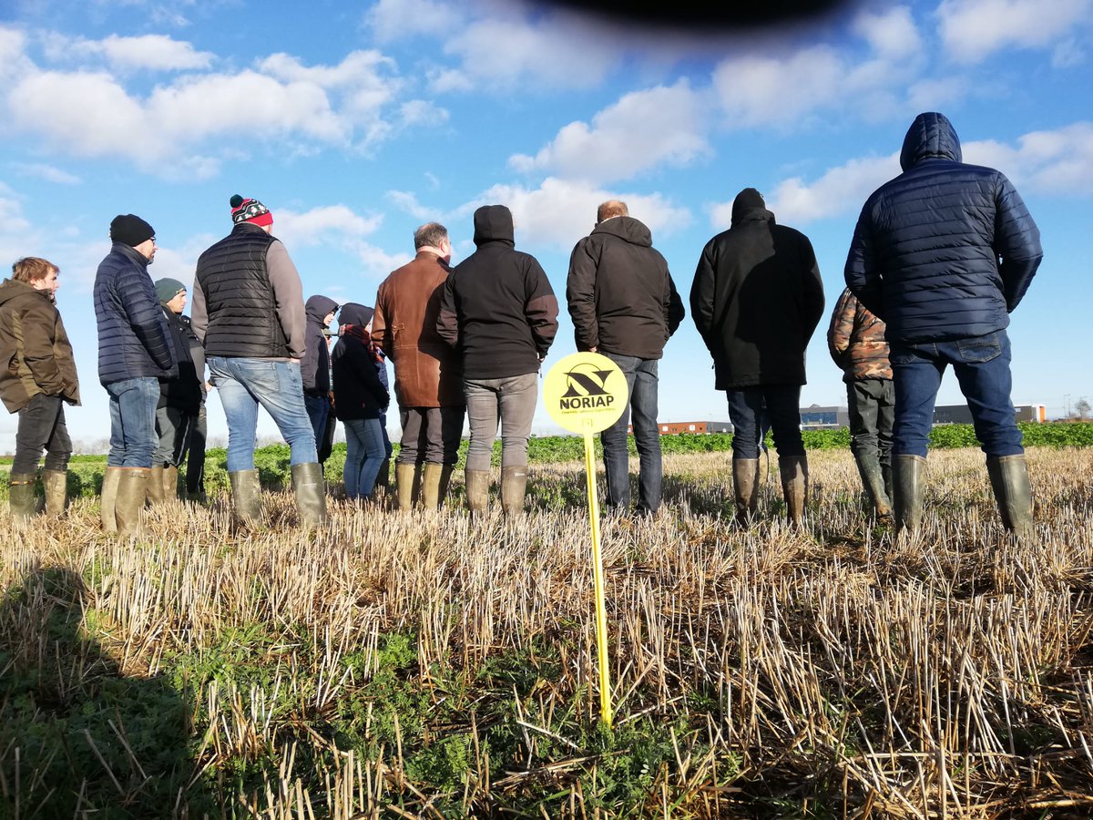 noriapcoop's tweet photo. Visite d'essais #Securecolza/couverts #vegetaux + dates #semis ce matin à Argoeuves. Nos #agriculteurs attentifs malgré le froid 😀 #cluboptilab #onparleagronomie @ServtecPvNORIA @BRUNELPierreAn1 @EstelleCleuet @AlizeeLoiseau @agrosolutions @HubertLecat @Cultivarlemag @Dami1F https://t.co/MZvwYBackR