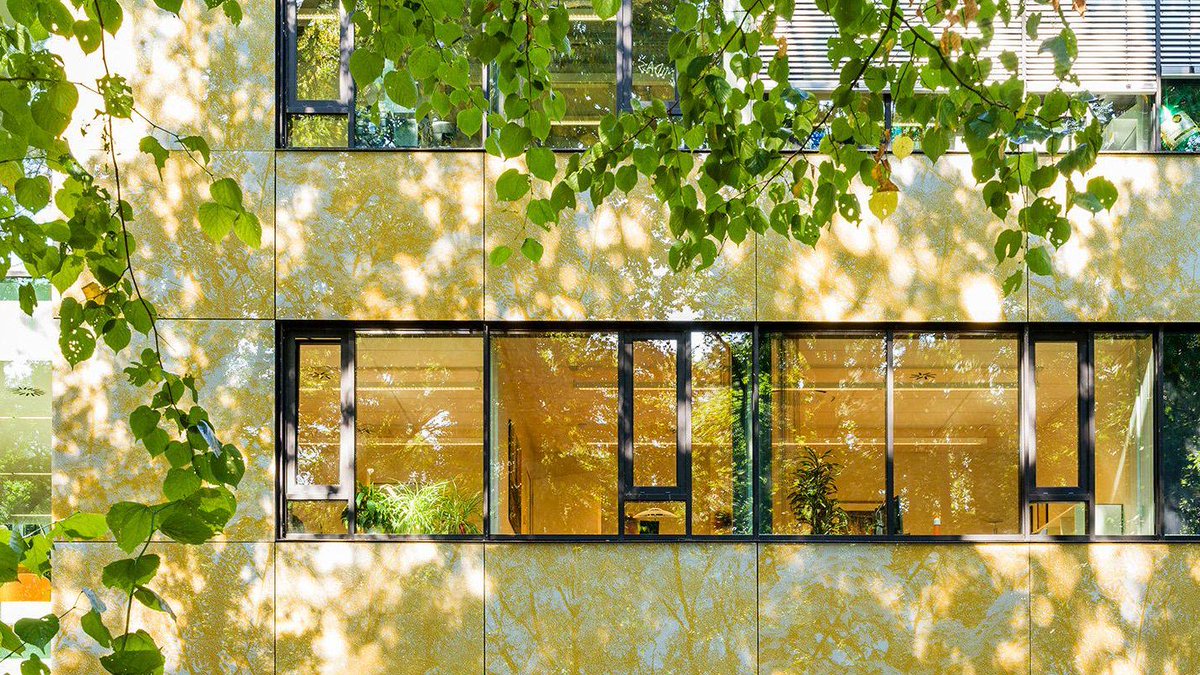 We're seeking (self-)nominations for a director to lead a <a href="/MPI_NL/">MaxPlanck-Psycholinguistics</a> department with an innovative long-term research programme on the neurobiology of human language. Please help us spread the word far &amp; wide. Call closes 16th Jan 2022, more information here: mpi.nl/news/nominatio…