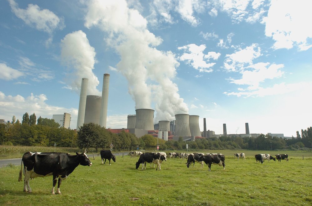 WWFEU's tweet photo. Deal on #8EAP!

The good:
✅Big strides on stronger environmental policy-making &amp; move towards wellbeing economy

The bad:
❌Still no end date for fossil fuel and other environmentally harmful subsidies

@EU_Commission must propose binding deadline ASAP!

https://t.co/nrqqCpFcli https://t.co/dZwCGc7T4J