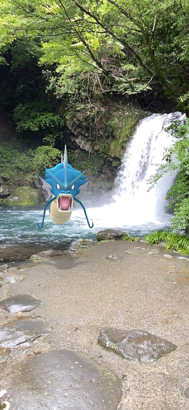 伊豆半島ポケモンgo連携プロジェクト 答え 河津七滝 初景滝 河津町 オーシャンエリア 高さは約10メートル 幅は約7メートルであり 滝まつりのメイン会場となっています 河津町 初景滝 Twitter