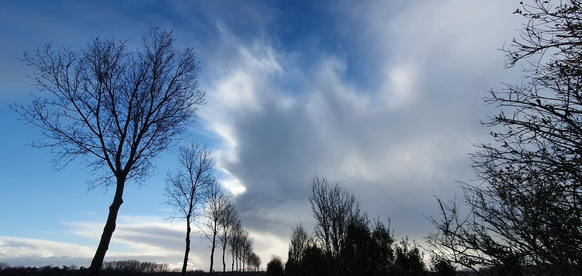 Havenlust's tweet photo. “And, when you want something, all the universe conspires in helping you to achieve it.” 

― Paulo Coelho https://t.co/D4IJIbIYBc