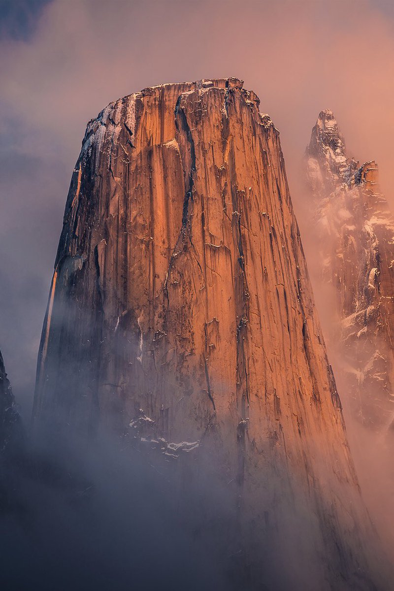 MarcoGrassi.eth tweet media