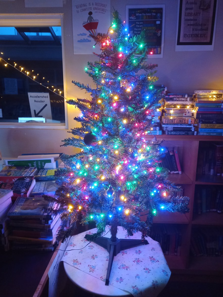 CryptLibrary's tweet photo. An early December morning in the #CryptLibrary 🎄 https://t.co/3dyTJLG78D