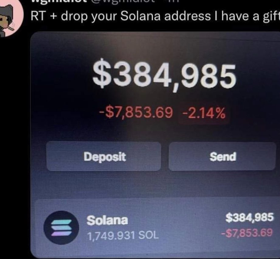 BLUEY 🇦🇺 tweet media