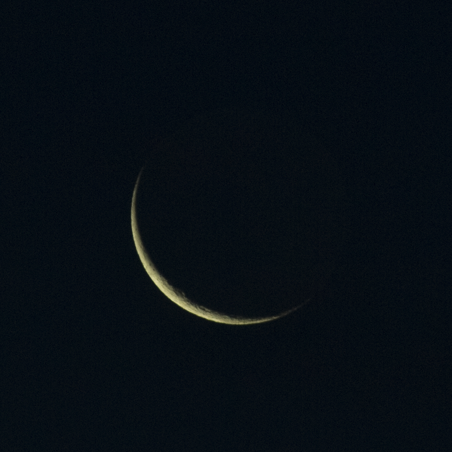 ToddGBaker's tweet photo. Toenail Moon this morning...and Cabot Tower. You can just see earthshine. Wicked clear and not too cold. #nlwx #ToenailMoon https://t.co/pMInanfsqE