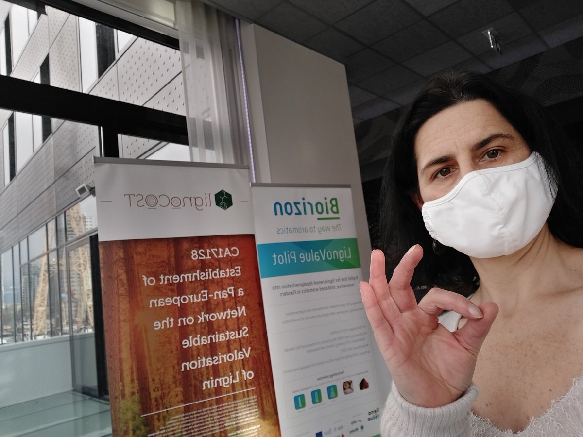 Ready for thé virtual event of @Biorizon and hope to take you along in lignin activities <a href="/VITObelgium/">VITO</a> and supported by <a href="/Lignocost_eu/">Lignocost</a>