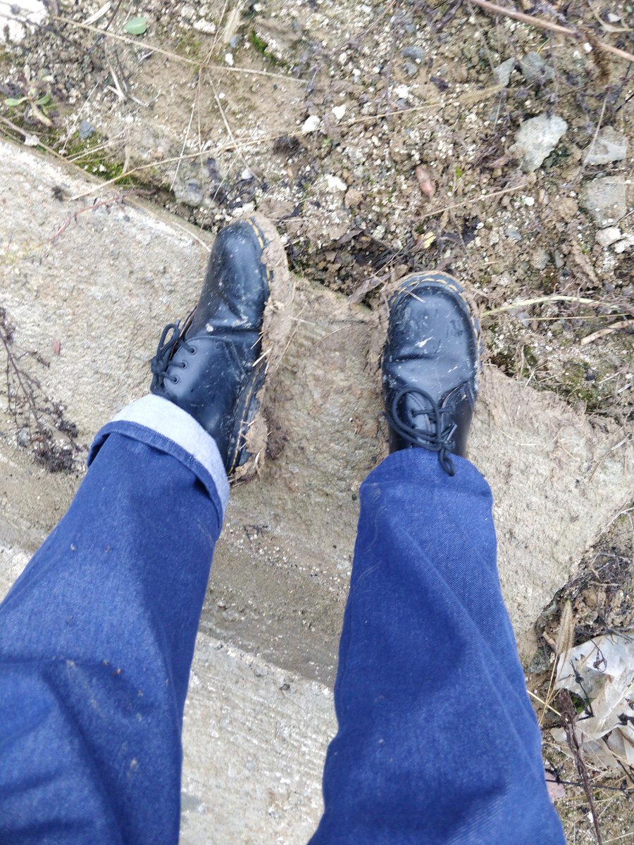 Anastasia Nicolas tweet media