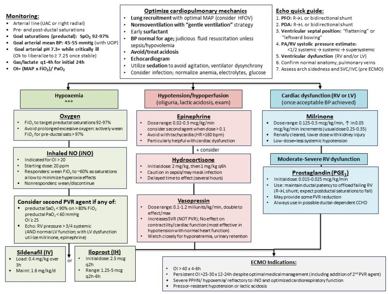 Severe persistent pulmonary hypertension in a neonate with