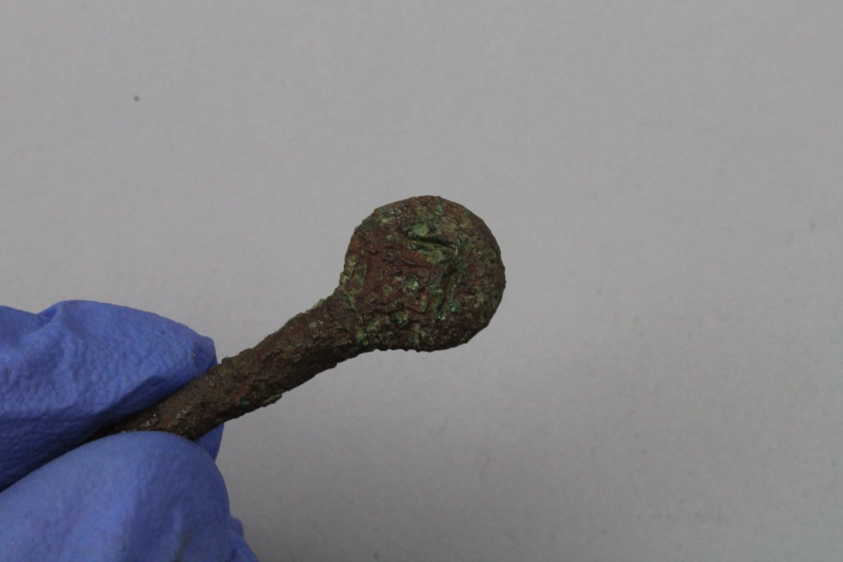 aocarchaeology's tweet photo. Day 5 of #AOCAdCal: an early medieval dress pin with lozenge-shaped decorative detail on the head 🔶 The decoration came up nicely after a little TLC! Find out more: https://t.co/kPcw1p8JpR
@CPKMuseums @culturepandk @MuseumsGalScot https://t.co/2Ni0ls35Fx