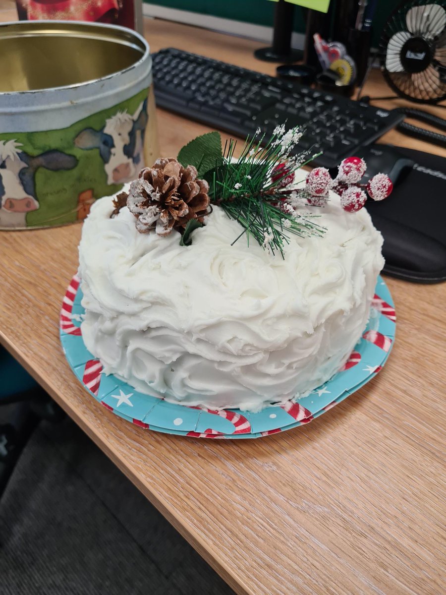 WhitesidesCA's tweet photo. Monthly team meeting in the office today, and Karen (one of our wonderful bookkeepers) has made this spectacular Christmas #cake 
#GBBO #christmascake #team #meeting https://t.co/g8lVVUFCYk