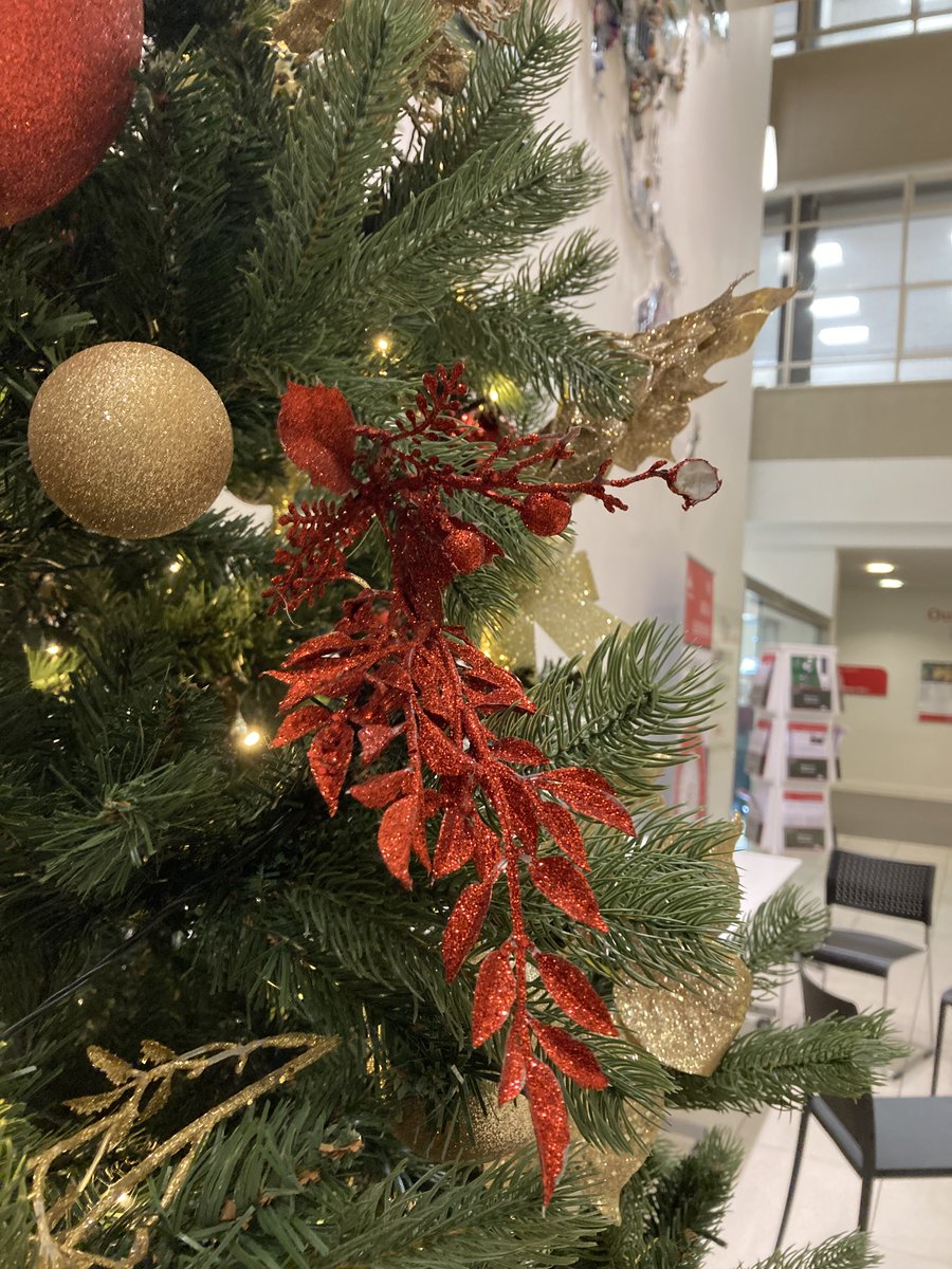 BedsBiz's tweet photo. December is finally here! Our campus Christmas tree 🌲 is already up and we're all looking forward to the Winter break ❄️❄️
✨What are your plans for the Festive season? ✨
#holidays #festiveseason #christmas #UBBS #uniofbeds #Luton #campus #christmastree https://t.co/8ZGLNPqgta