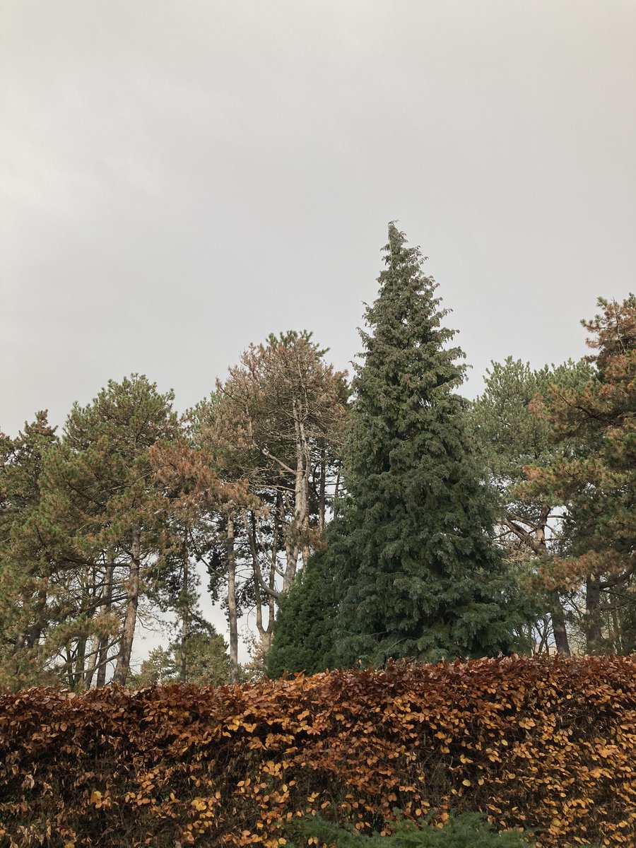 Jan Willems tweet media