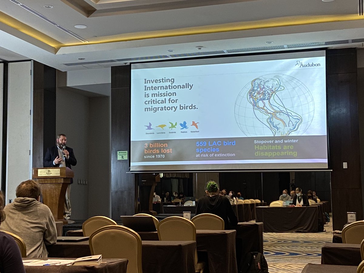 PlantecophysPTY's tweet photo. Presentes en el lanzamiento de #NaturalCapital que busca fortalecer los servicios de los #manglares de las Bahias de Parita y Panama bajo el apoyo del @el_BID @UKembassy con la dirección de @MiAmbientePma y @audubonsociety #NBsolutions https://t.co/JiFFGD4do9