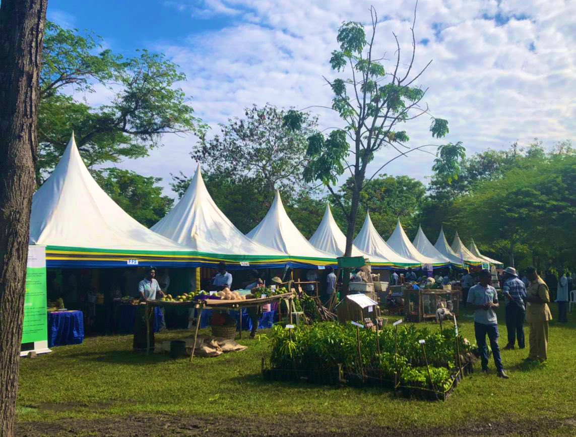 ViAgroforestry's tweet photo. The Annual agroforestry symposium kicks off in Musoma #Tanzania. This year’s theme is “Agroforestry for improved income and environmental conservation”. Don’t miss out! Entry is free! #TeamAgroforestry #KilimoMseto #agriculture #agroforestry https://t.co/R0i0hXRxsl