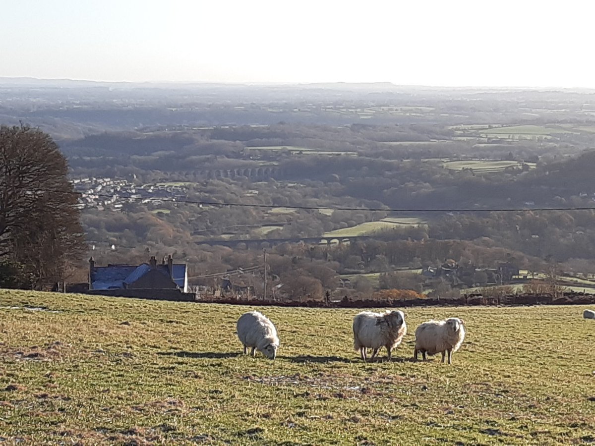 What a view! #worldheritagesite #wrexham