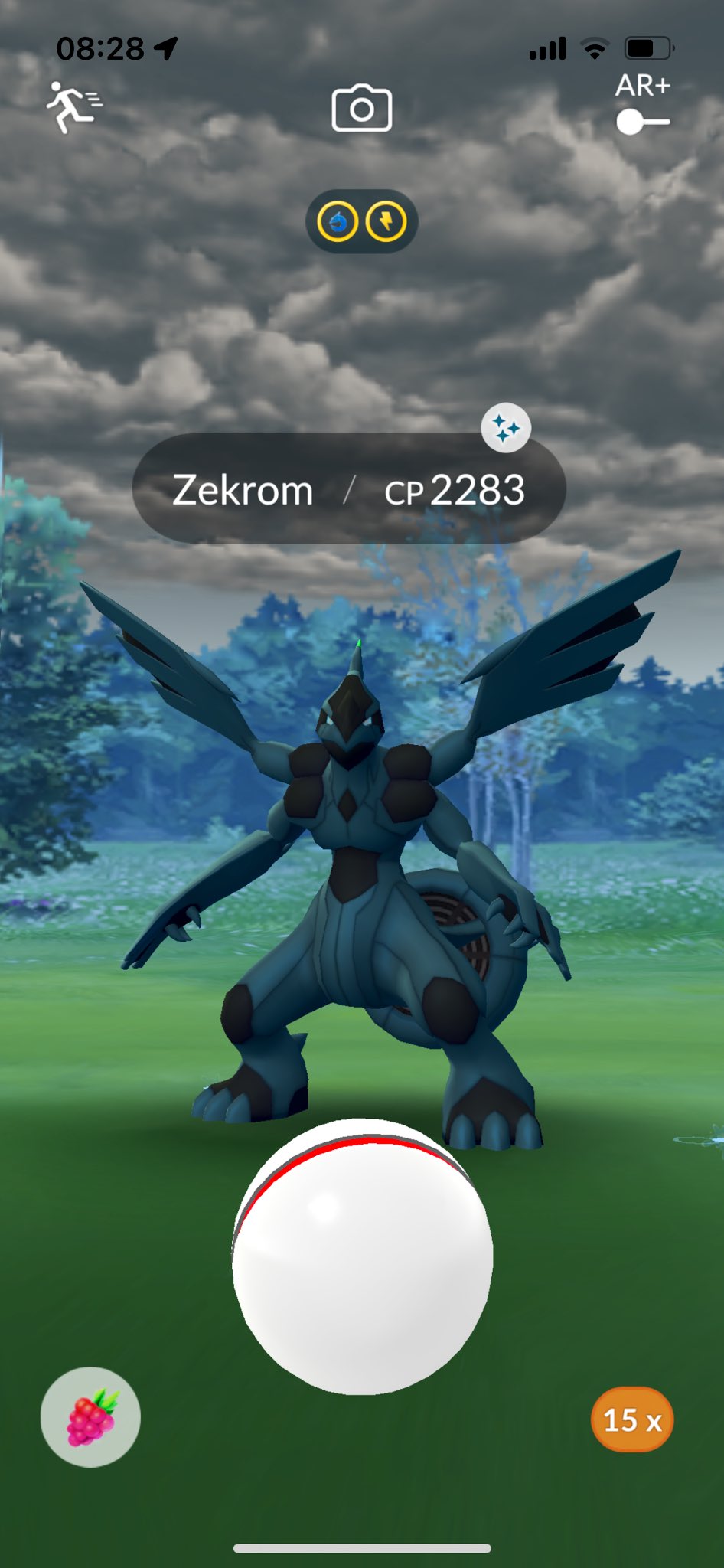 Pokemon Go Shiny Zekrom