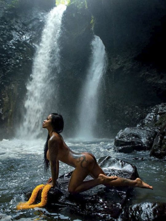 Magister Terrorem Rex tweet media