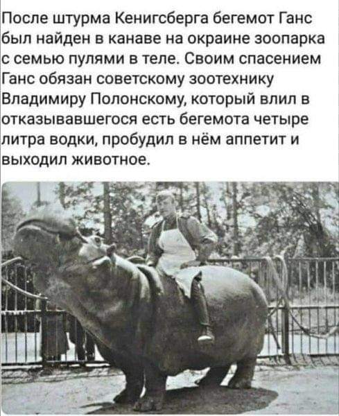 Артур Сухов (@sir_dipland) on Twitter photo 