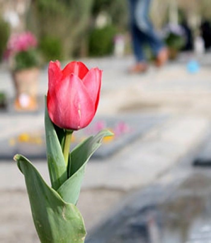 M__rousta's tweet photo. امام صادق علیه السلام:
مرده به خاطر طلب رحمت وآمرزشی که برای او می شود ،شادمان می گردد،همانگونه که زنده با هدیه خوشحال می شود.
شادی روح همه ی درگذشتگان #صلوات https://t.co/pl8EPmOGLo
