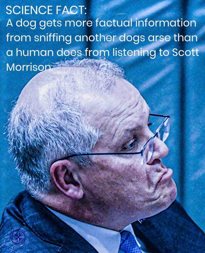 CMcAddiction's tweet photo. @RonniSalt 🤔Nothing #SnakeOilScott ever says speaks for me or my family. He is against everything we stand for &amp; wish for our society.
#NotMyPM  #ScottyCanGo https://t.co/X2Erb4v8fO