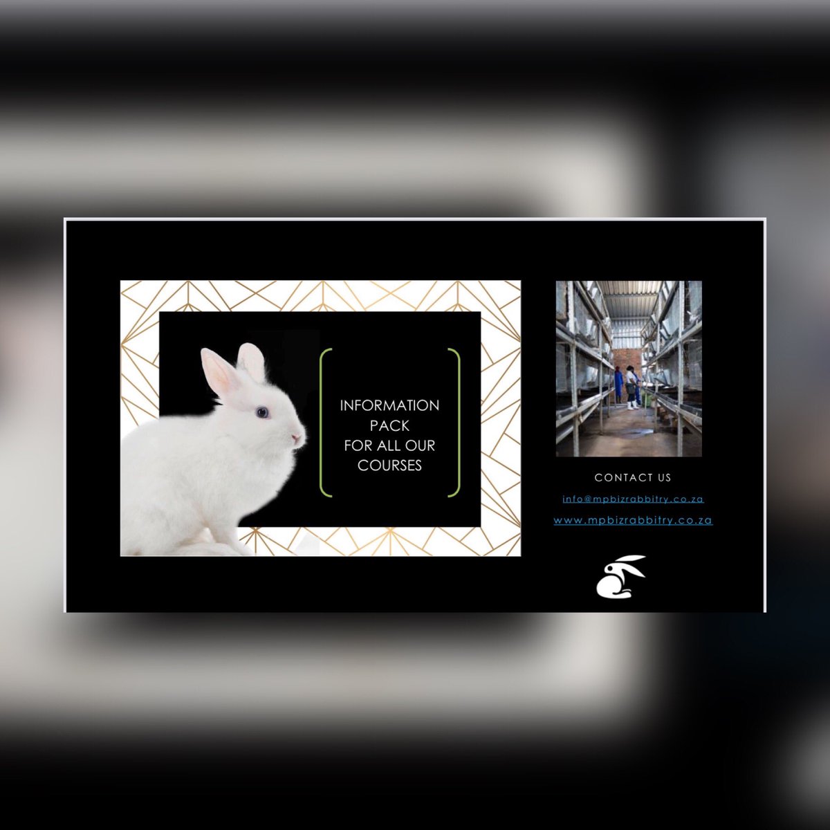 RPreneurs's tweet photo. #LetsFarmWithRabbits Rabbit Farming workshops and training we are online https://t.co/0BPKxs80f5 @PabiKutlwano @BuildBlaqEquity @kwanda_nyazeka @MtetwaWandile https://t.co/lU4JoT8pAm