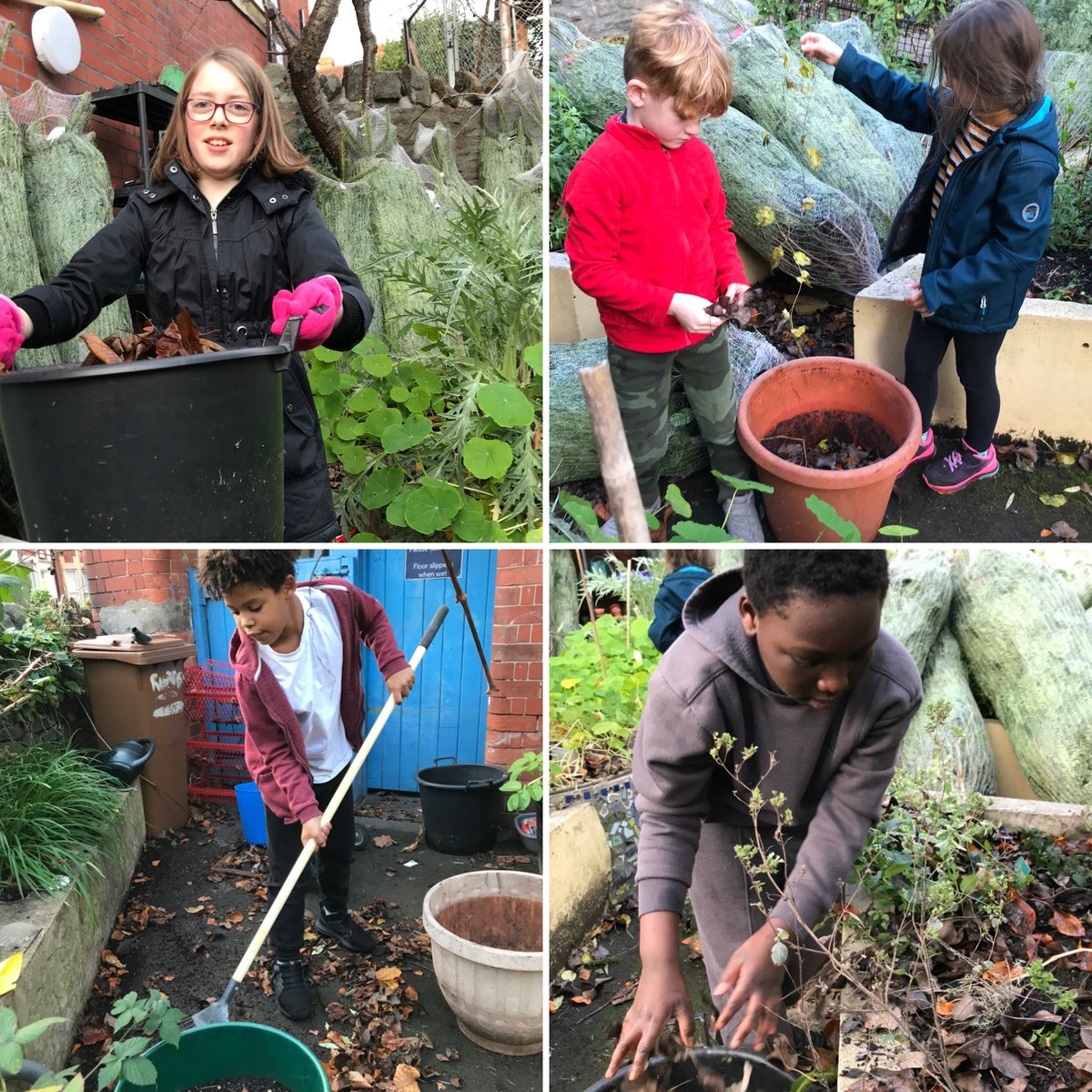 Our dedicated Green Team have been in the Garden for Life, sweeping up the last of autumn and composting the leaves. Local environment heroes!

#WeAreLocalCitizens #WeAreGlobalCitizens