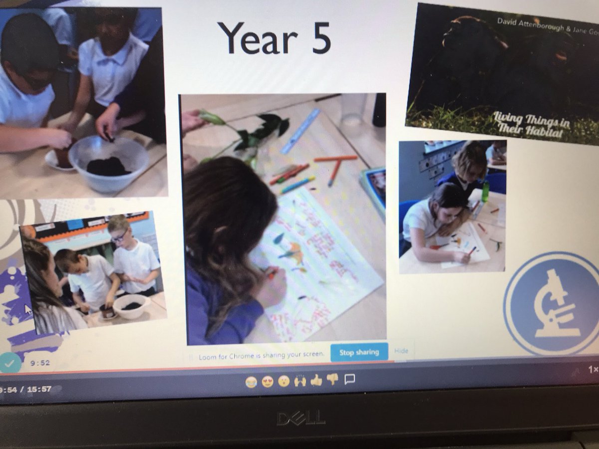 OJA_Brumby's tweet photo. What an impressive showcase in our science assembly with Mrs Hargreaves this morning! Take a look at the interesting investigations and research work from each year group #scienceshowcase https://t.co/ySs3jlPMXW