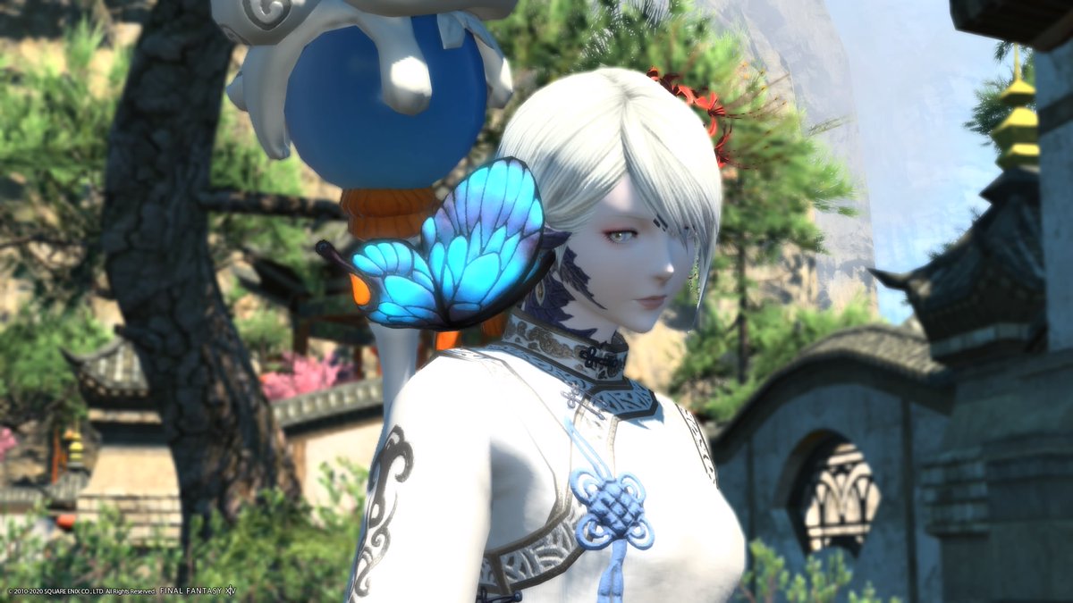 game_ff_seth's tweet photo. 暁月でうさおになるので今までの自機の振り返り
実は漆黒初期までミコッテ♀でその後ずっとアウラ♀
アウラ♀が１番長かったね https://t.co/YNSqRLczSI