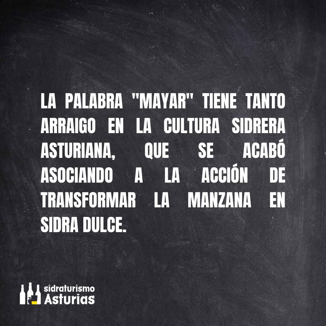SidraturismoAst's tweet photo. Este otoño 🍂 nuestros llagares han usado las palabras #mayar o #mayanza y #mayaera
Sabes... 
el origen de estos vocablos❓

📸 de fondo cedida por el @MuseuPuebluAst

⚠️ Estad atentos, mañana os contamos las visitas disponibles para realizar @SidraturismoAst estos días ⚠️ https://t.co/VLxEQHhp4w