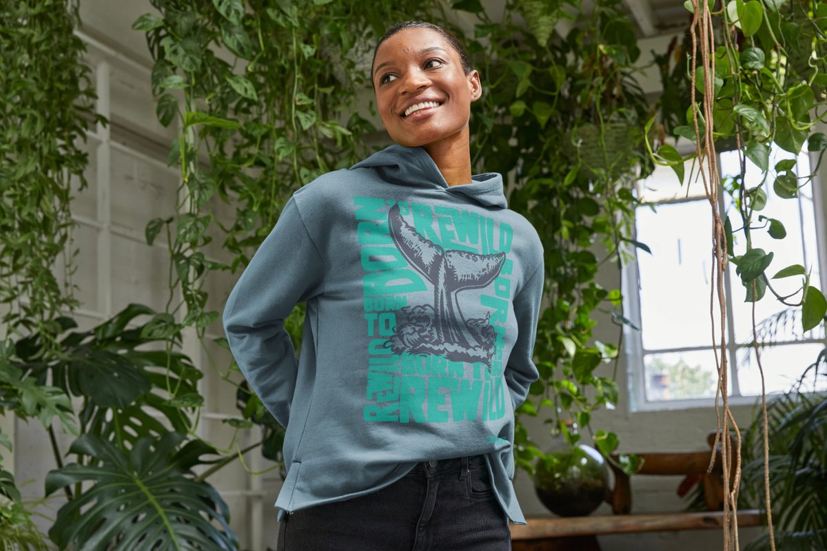 Marine Conservation Society tweet media