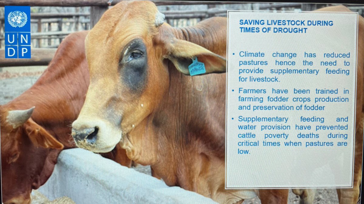 .<a href="/ZRBFZIM/">Zimbabwe Resilience Building Fund #ZRBF</a> Itayi Usaiwevhu talks to members of the media about ongoing resilience building interventions in communities across #Zimbabwe in response to climate shocks and disasters.  #ClimateAction #DecadeofAction